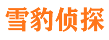 道县侦探公司